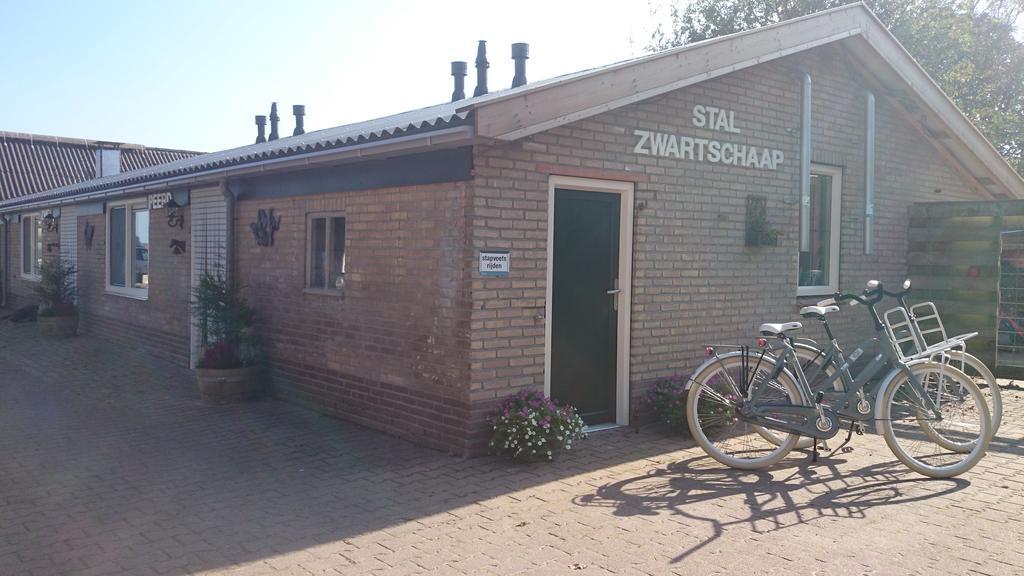 Stal Zwartschaap Apartment Stuifzand Exterior foto
